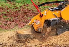  Lakeside, TX Tree Services Pros